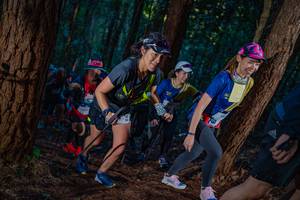 BIB: 
                            <button type="button" onclick="openModal(19212532)" class="btn btn-primary btn-sm float-right btn-popup" data-toggle="modal" data-target=".modal-high-quality">
                        <i class="fas fa-shopping-cart"></i> Add to Cart
                    </button>
                                            <button type="button" onclick="isThisMe(19212532, true)" class="btn btn-success btn-sm float-right btn-popup btn-isme hidden" data-toggle="tooltip" data-placement="bottom" title="นี่คือรูปของคุณใช่ไหม คลิกที่นี่เพื่อเอาเข้าอัลบั้ม">
                        <i class="fas fa-plus"></i> Add to album
                    </button>
                    <button type="button" onclick="isThisMe(19212532, false)" class="btn btn-warning btn-sm float-right btn-popup btn-isnotme hidden">
                        <i class="fas fa-ban"></i> Remove from album
                    </button>